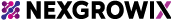 NexGrowix - Your Digital Innovation Partner